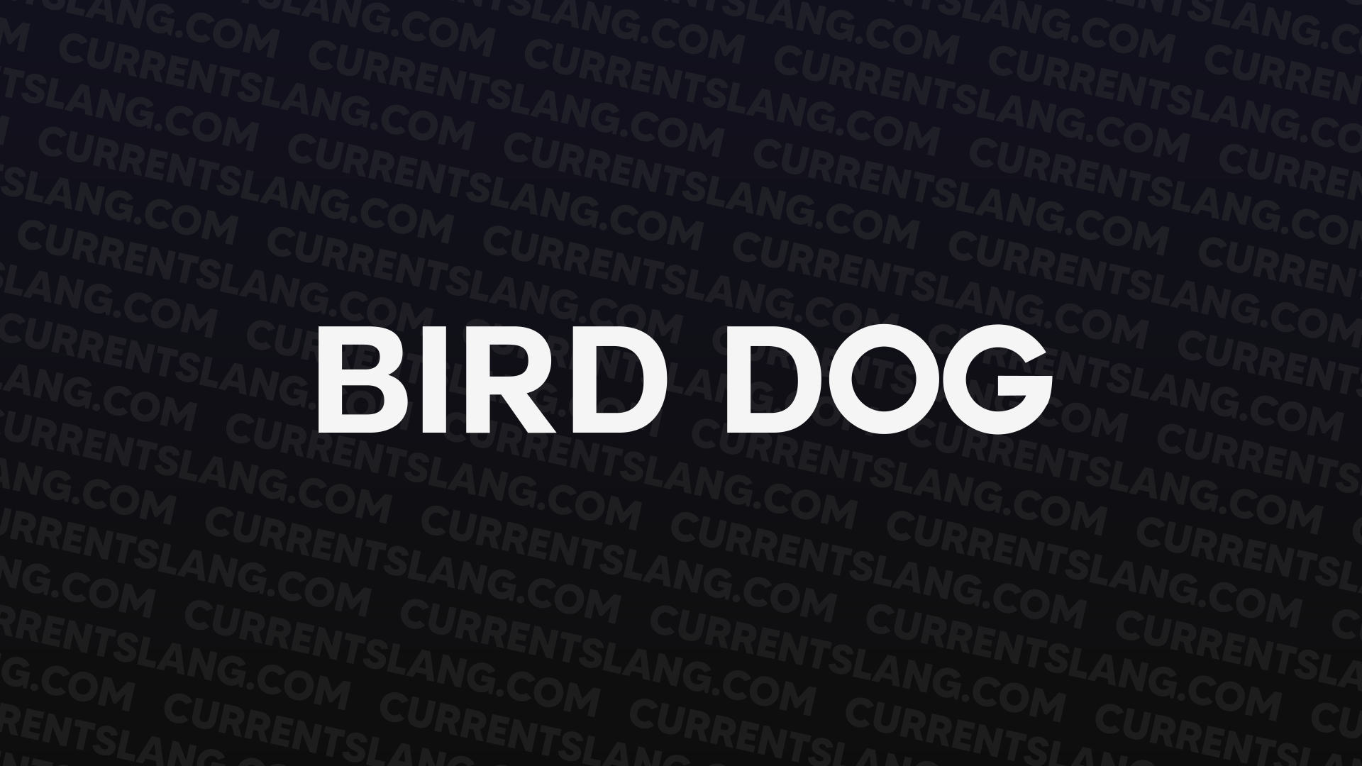 title image for Bird Dog
