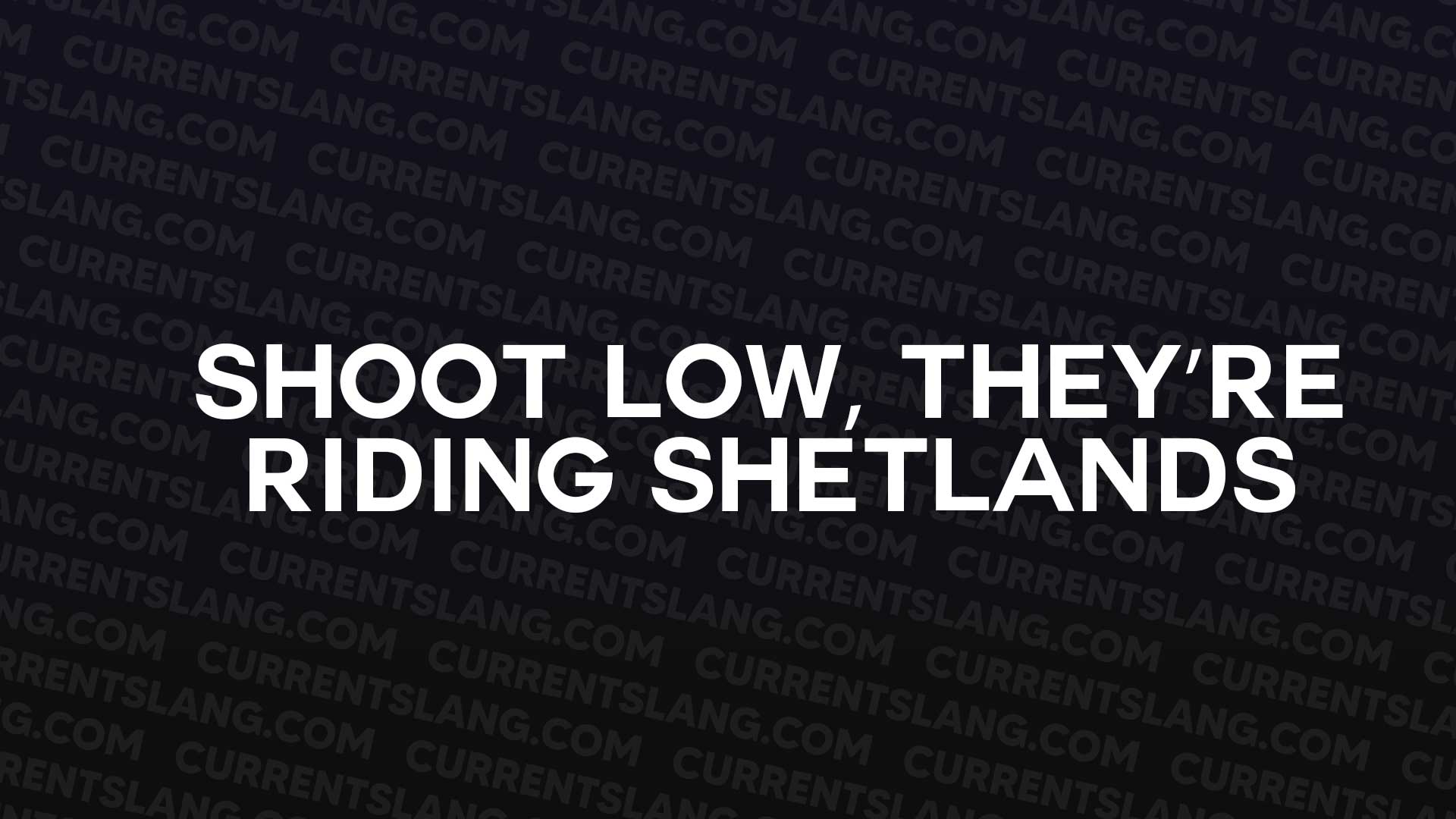 title image for Shoot low, they’re riding Shetlands