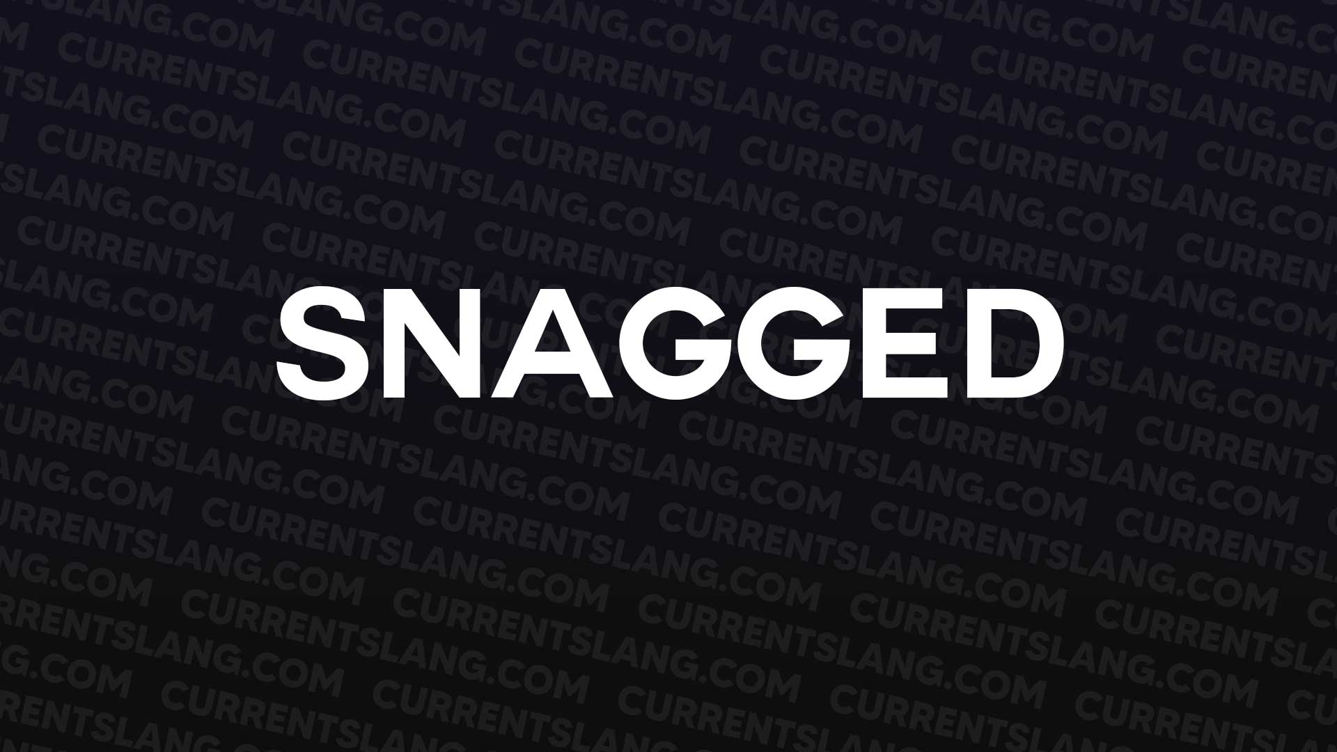 title image for Snagged